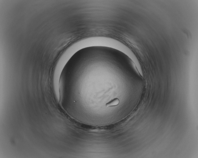 X0000113310362200910131113