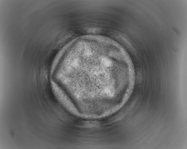 X0000113310363200910131113