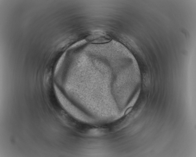 X0000113310364200910131113