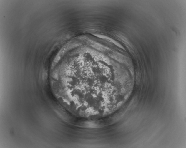 X0000113310365200910131113