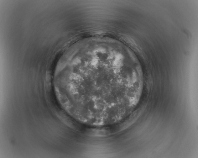 X0000113310366200910131113