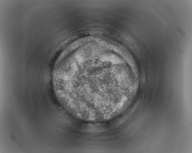X0000113310367200910131113