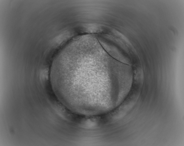 X0000113310368200910131113