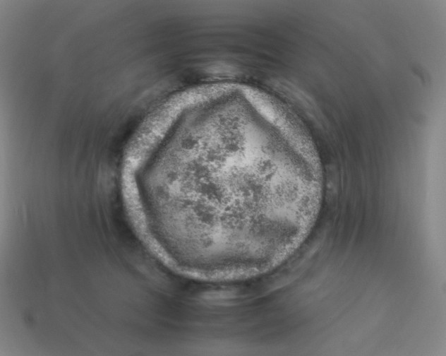 X0000113310369200910131113