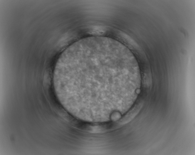 X0000113310370200910131113