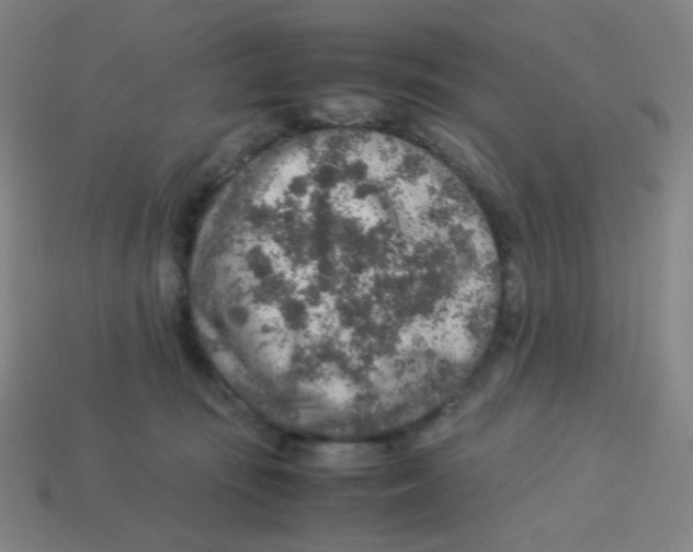 X0000113310371200910131113