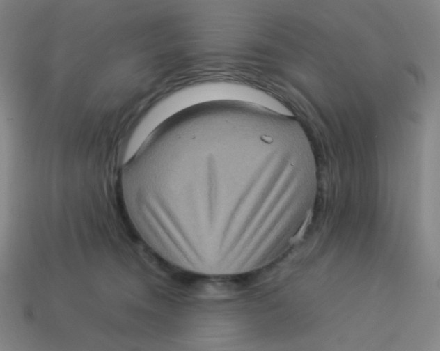 X0000113310372200910131113