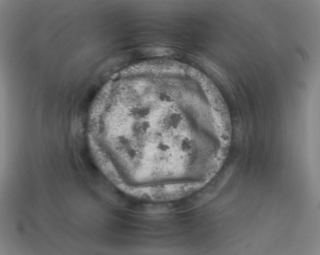 X0000113310373200910131113