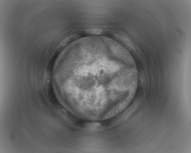 X0000113310374200910131113