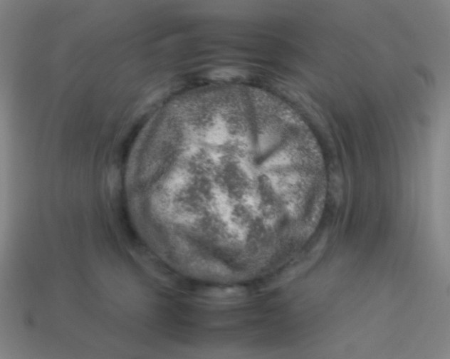 X0000113310375200910131113