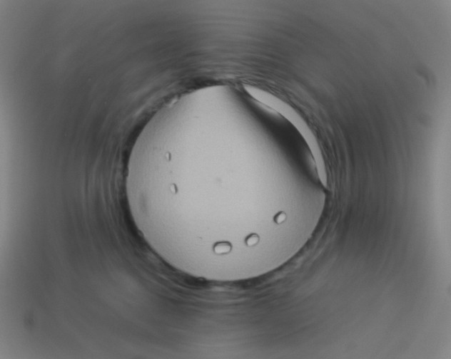 X0000113310376200910131113