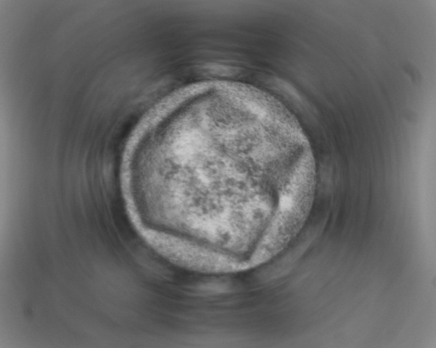 X0000113310377200910131113