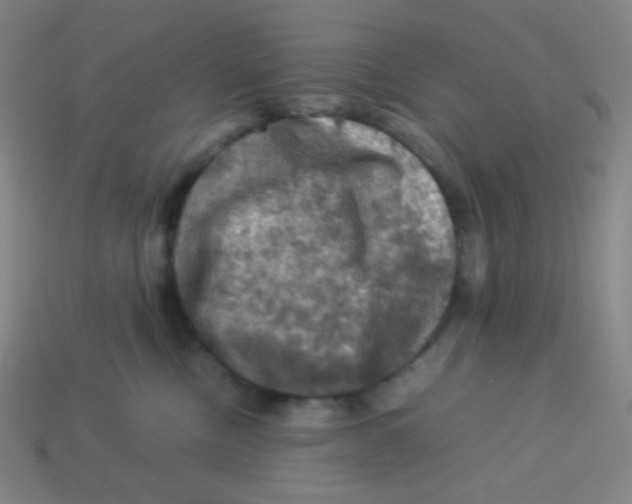 X0000113310378200910131113