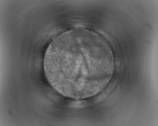 X0000113310379200910131113