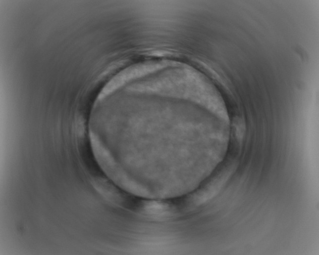 X0000113310380200910131113