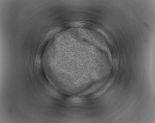 X0000113310381200910131113