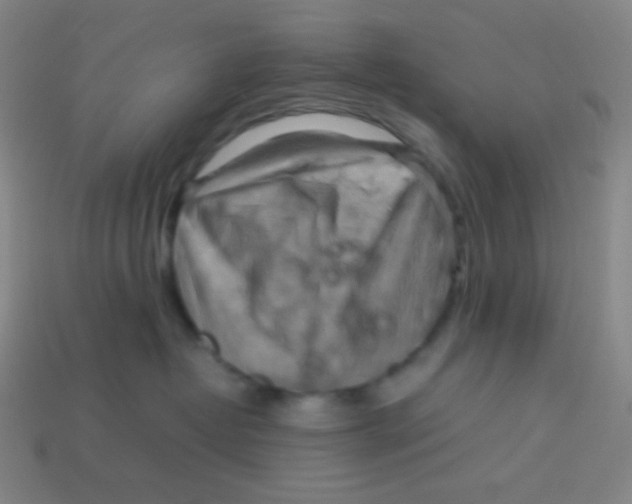 X0000113310382200910131113