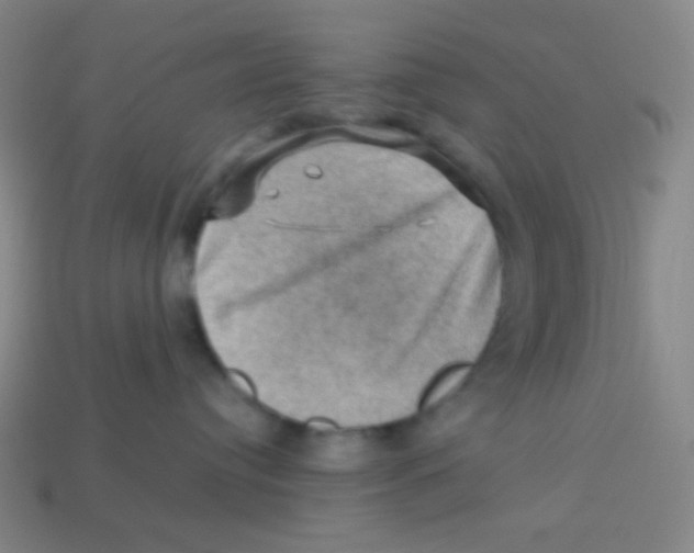 X0000113310384200910131113