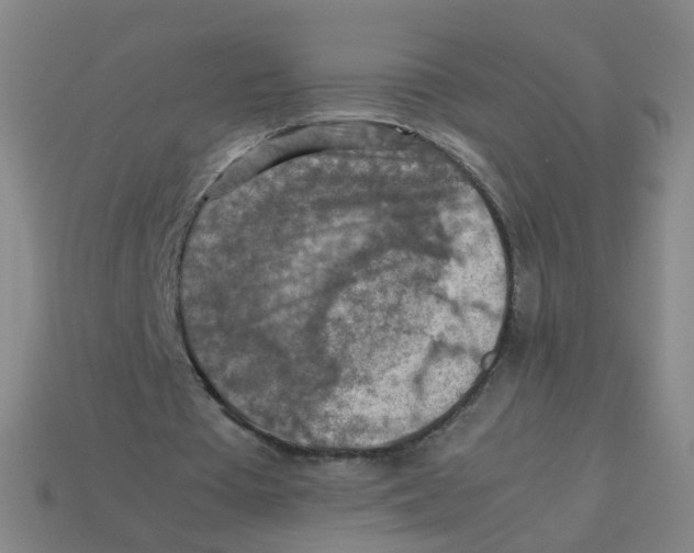 X0000113310385200910131112