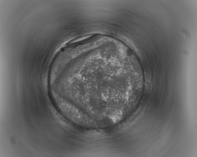 X0000113310386200910131112