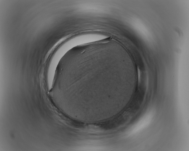 X0000113310387200910131112