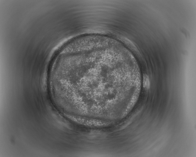 X0000113310388200910131112