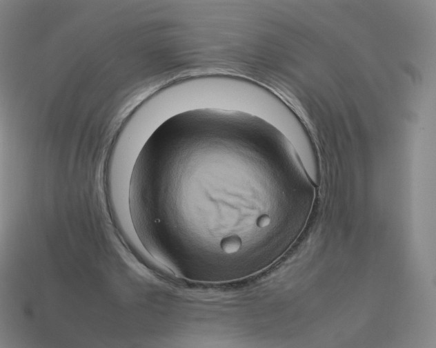 X0000113310389200910131112
