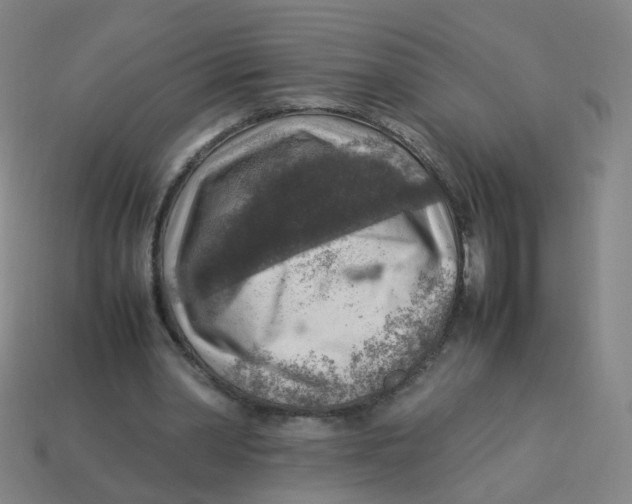 X0000113310390200910131112