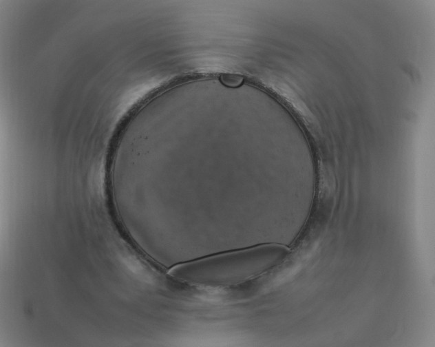 X0000113310391200910131112