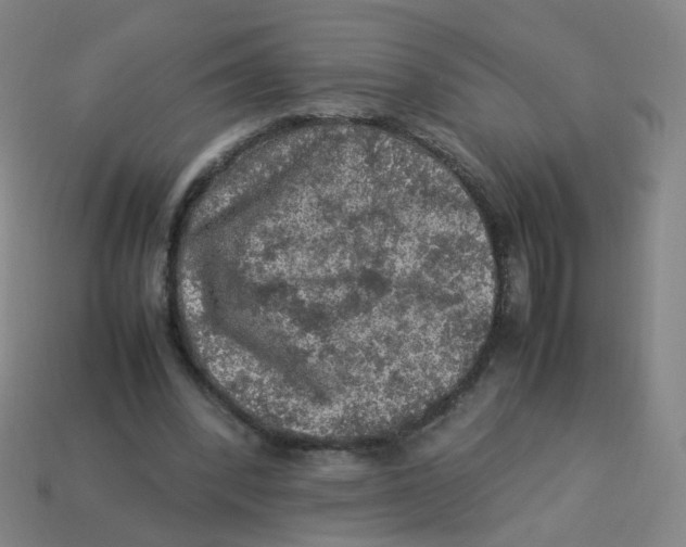 X0000113310392200910131112
