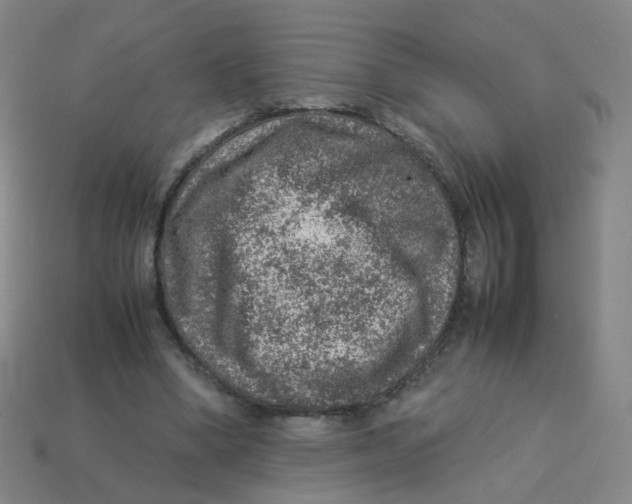 X0000113310394200910131112
