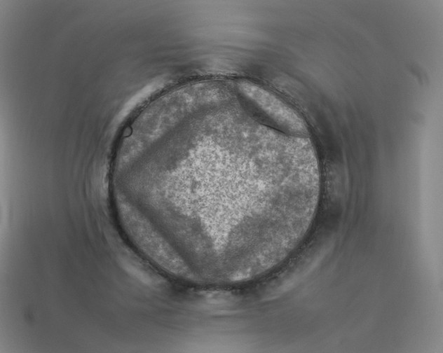 X0000113310395200910131112