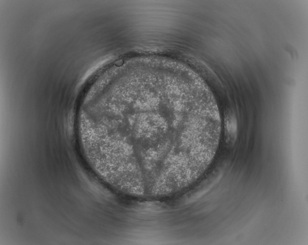X0000113310396200910131112