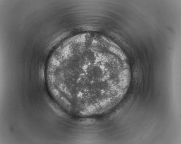 X0000113310398200910131112