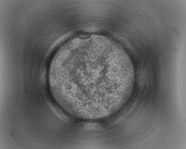 X0000113310400200910131112