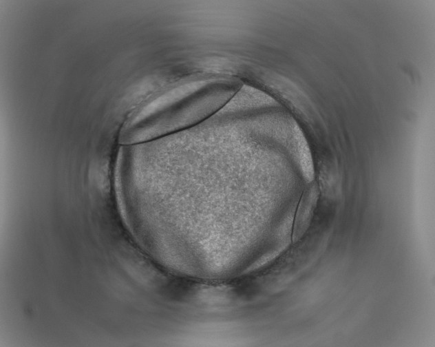 X0000113310403200910131112
