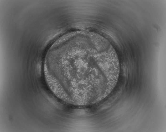 X0000113310404200910131112