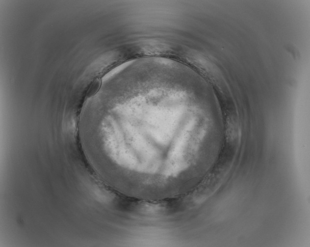 X0000113310405200910131112