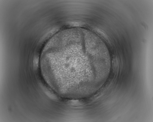X0000113310406200910131112