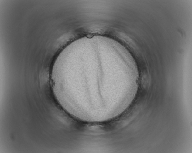 X0000113310407200910131112