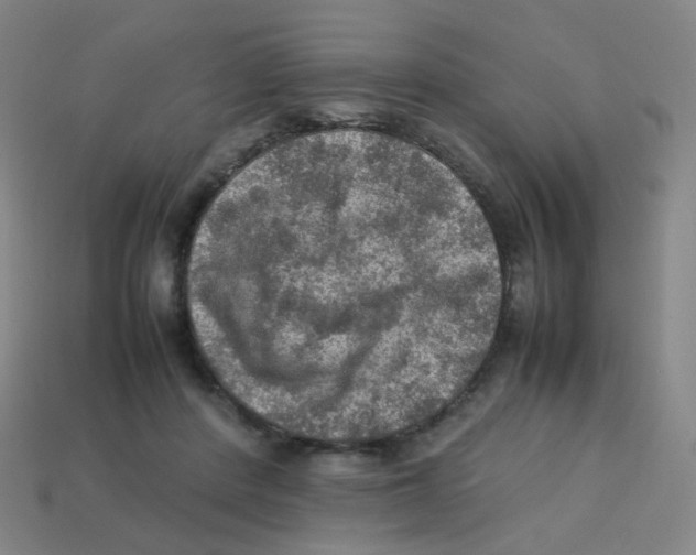X0000113310408200910131112