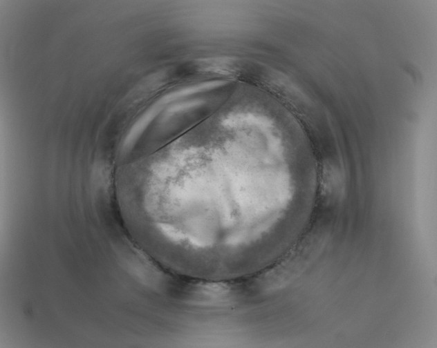 X0000113310409200910131112
