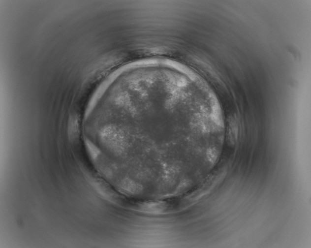 X0000113310410200910131112