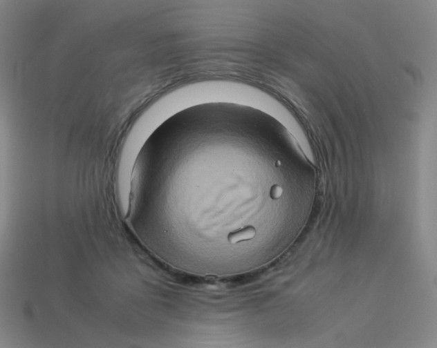 X0000113310411200910131112