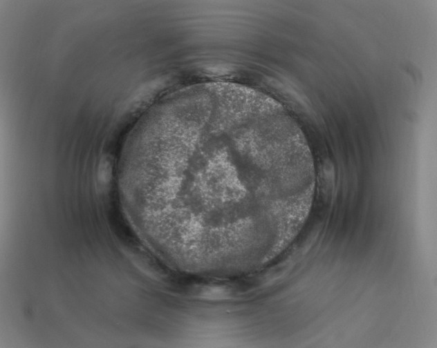 X0000113310412200910131112