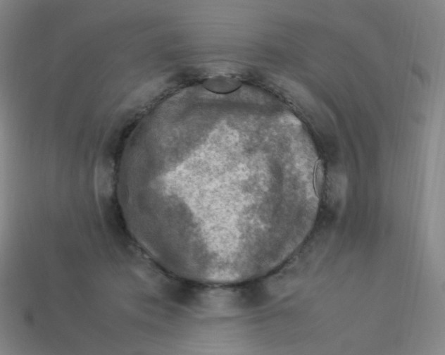 X0000113310413200910131112