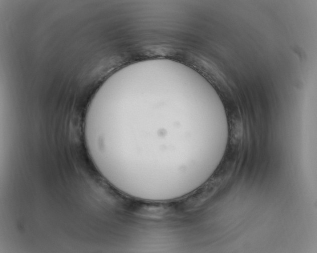X0000113310414200910131112