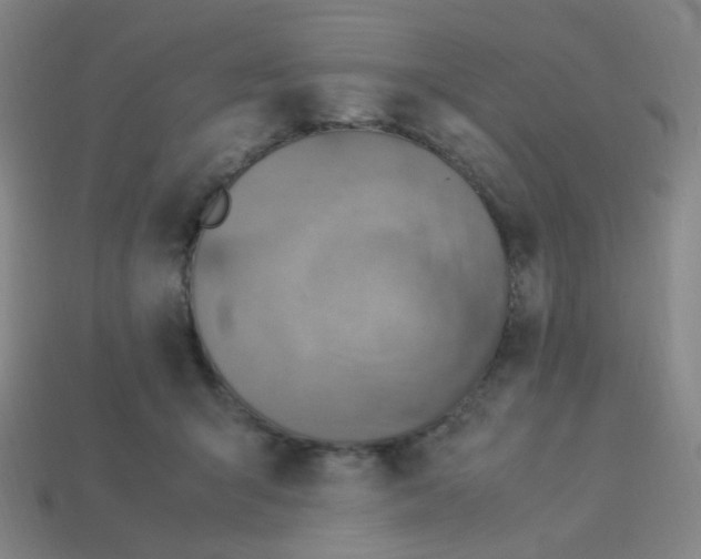 X0000113310415200910131112
