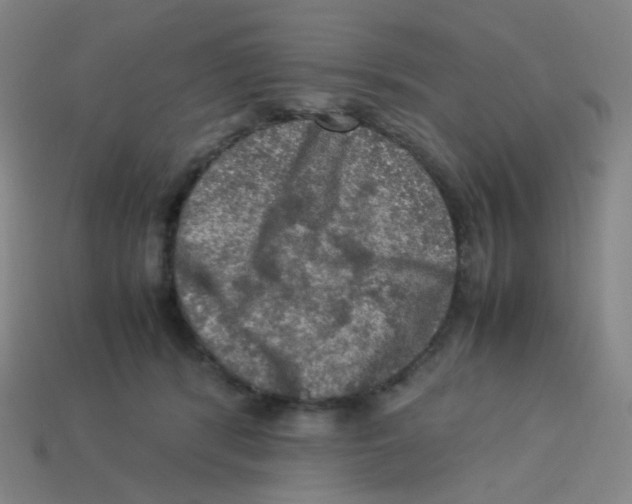 X0000113310416200910131112