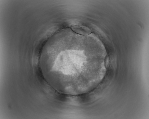 X0000113310417200910131112